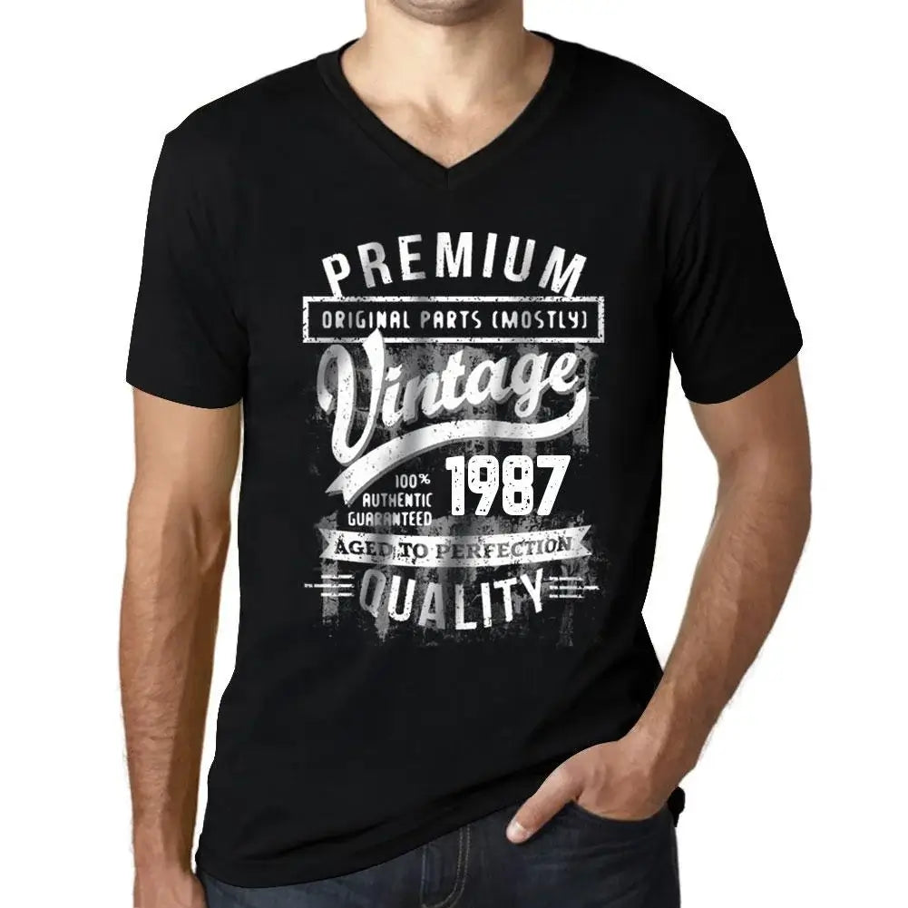 Men's Graphic T-Shirt V Neck Original Parts (Mostly) Aged to Perfection 1987 37th Birthday Anniversary 37 Year Old Gift 1987 Vintage Eco-Friendly Short Sleeve Novelty Tee